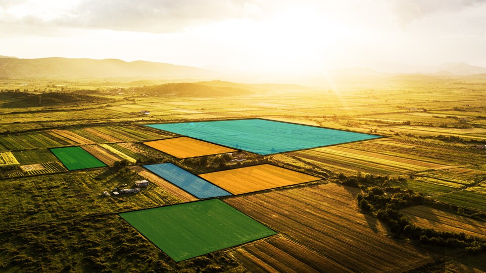 OxLand — A Complete Land Management System for Industries